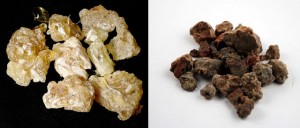 frankincense and myrrh in perfumry