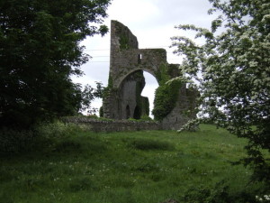 Cistercian_Abbey_ruins,_Abbeylara_-_geograph.org.uk_-_437037
