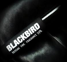 cafleurebon HoM BLACKBIRD 1