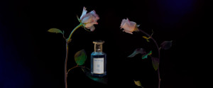  shay & blue perfumes