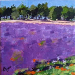 Lavender in Provence II  karen d'angeac