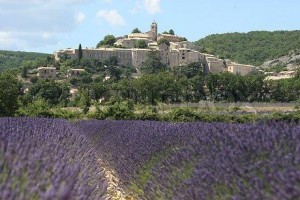 cafleurebon LO lavender&castle 4