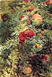 pomegranates-1908