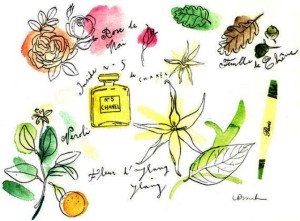 chanel no 5 ylang illustration by lucile prache
