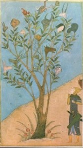 persian minature talking tree