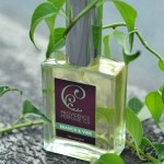  providence perfume co branch & vine