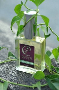  providence perfume co branch & vine