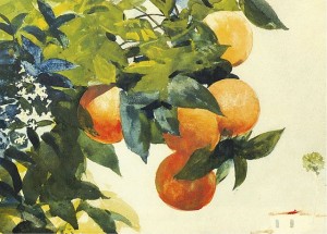 Winslow_Homer_-_Oranges_on_a_branch