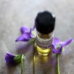 gracing the dawn natural perfume violets roxana illuminated