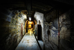 entrance to the dungeon m j rose