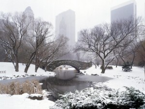 central_park_winter_new_york_city