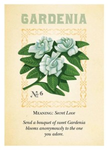 gardenia- language of flowers