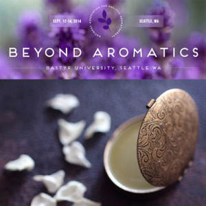 beyond aromatics  conference