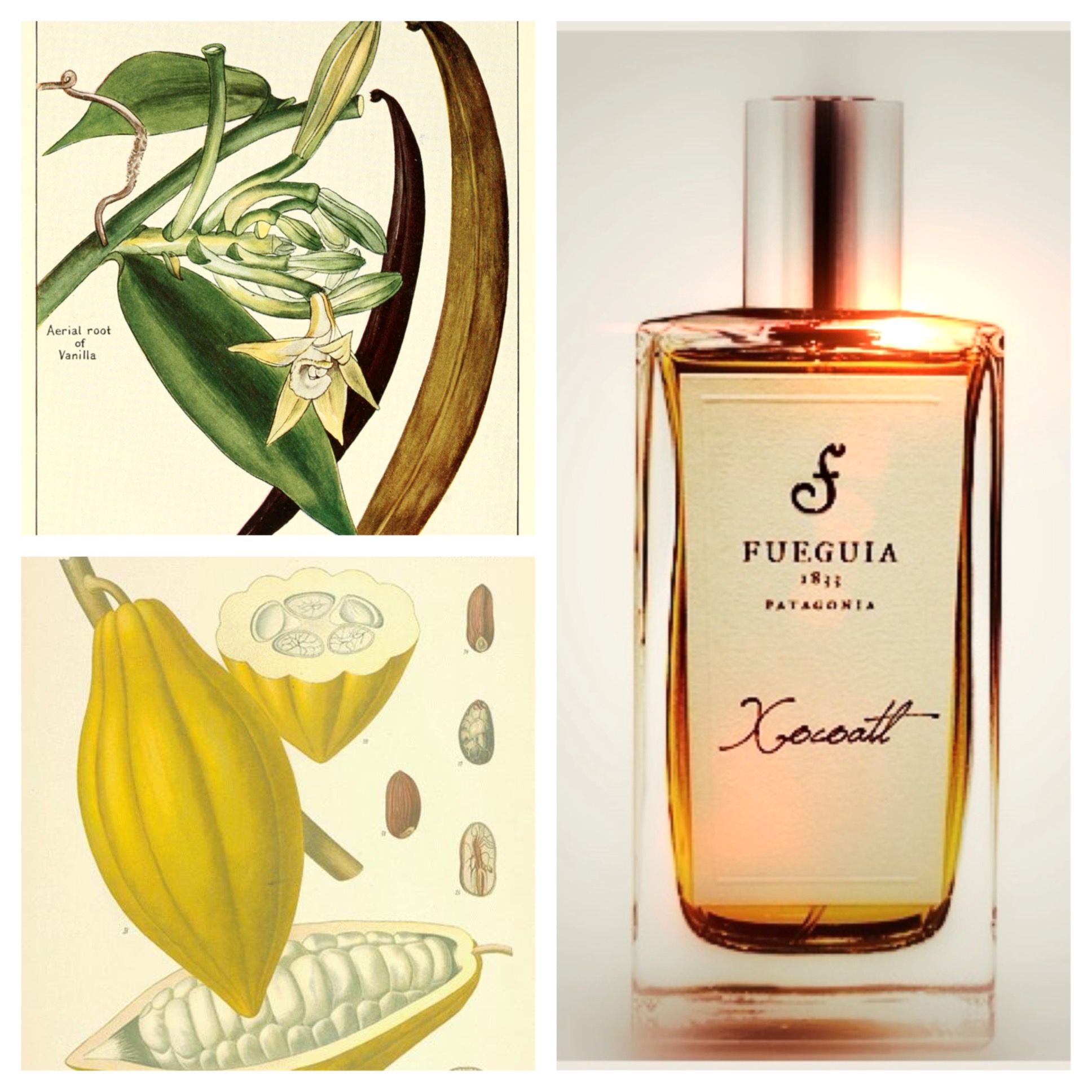 Perfume Review: Fueguia 1833 Xocoatl + Food of the Gods Draw 