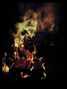 burningbooks