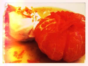  orange cream custard