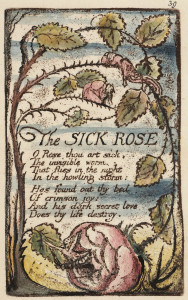 william blake the sick rose  songs of innocence and experience  illustration
