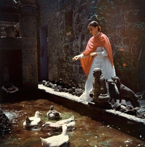 Gisèle Freund -Frida Kahlo, garden 1951