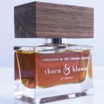 thorn and bloom stranger in the cherry grove