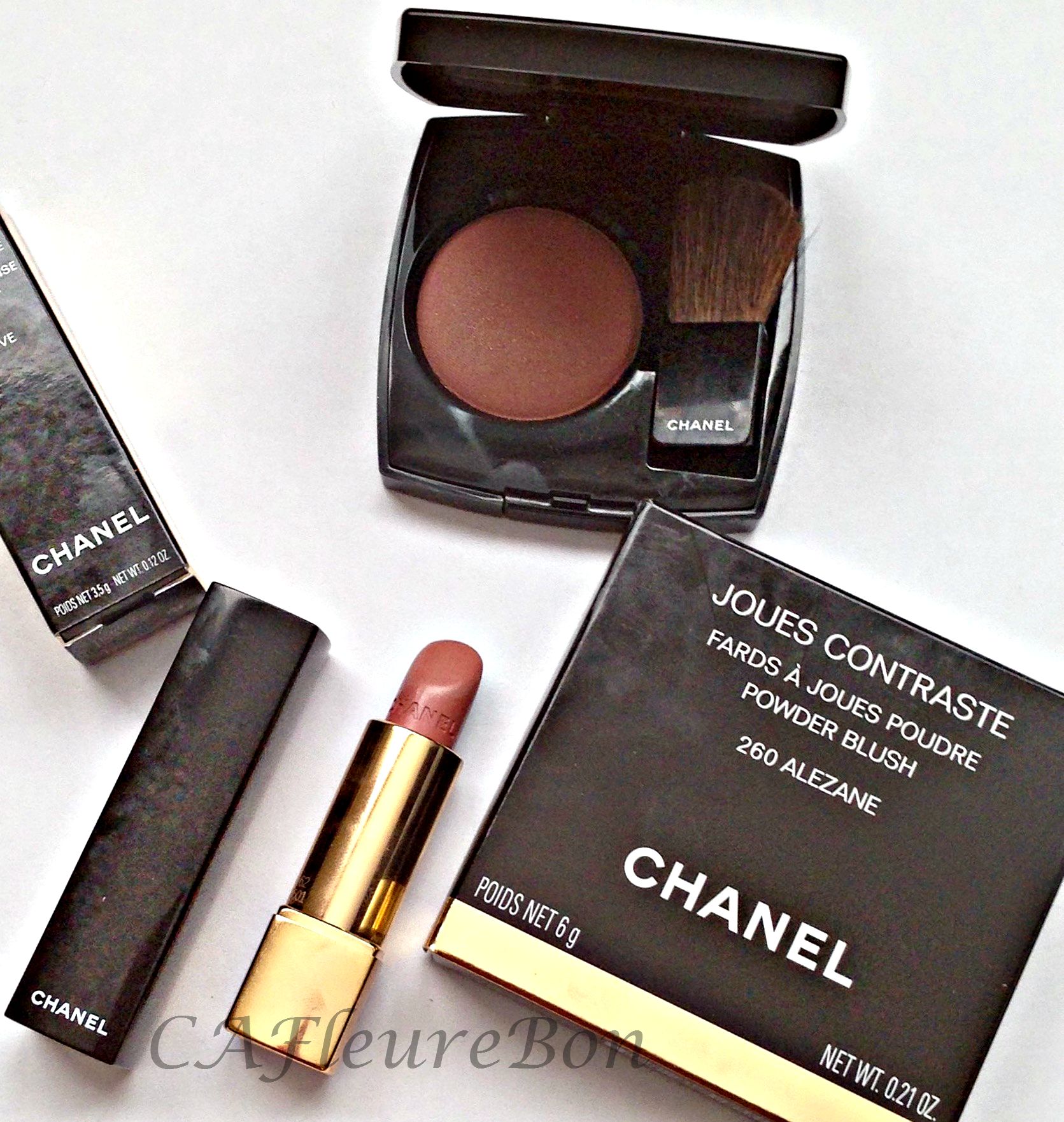 Fall 2015 CHANEL LES AUTOMNALES review