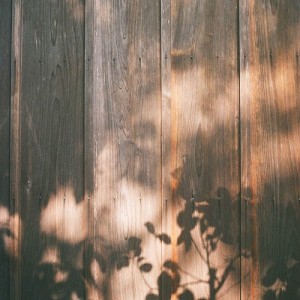 leaves and wood