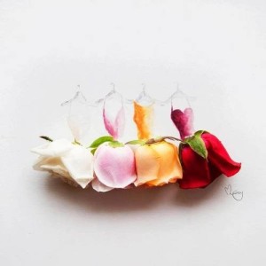 Flower Art by Lim Zhi Wei roses