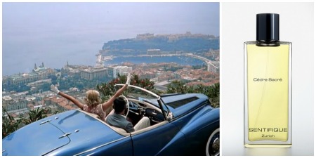 Grace Kelly and Cary Grant Cote D'Azure To Catch a Thief and Cèdre Sacré