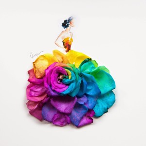 by Lim Zhi Wei rainbow roses