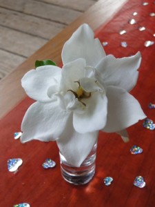 tahitian tiare flower