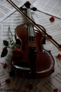 Violin, rose petals and musical score
