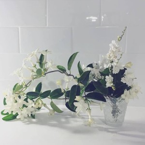 beautiful jasmine arrangement