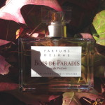 parfums delrae bois de paradis