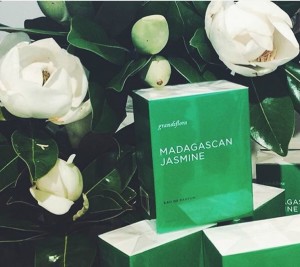 -perfume grandiflora madagascan jasmine