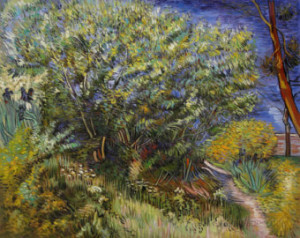Lilac Bush - Vincent van Gogh