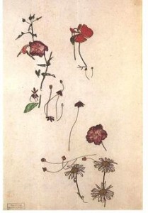 Egon Schiele, Flower Studies.