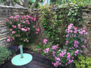 camille goutal rose garden paris