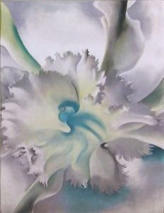 O'Keeffe 1975, Orchid