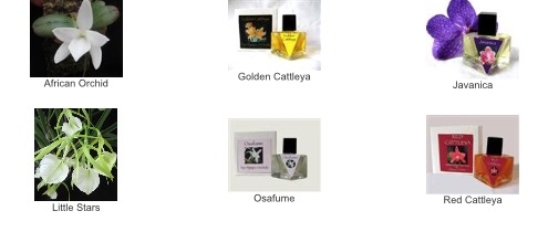 Olympic Orchids orchid perfumes