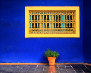 Marrakech_Majorelle_Garden owned by Yves St Laurent and  Pierre Berge 1980