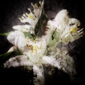 fashion-editorial-gardenia cafleurebon