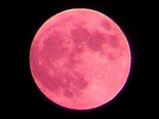 pink moon  summer solstice 2016