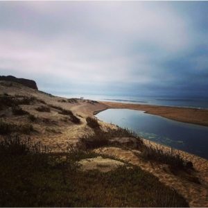 scotts-creek-beach-california