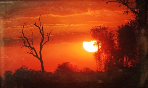 sunset-african-savanna