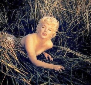 marilyn-monroe-leopard-eve-arnold-1955