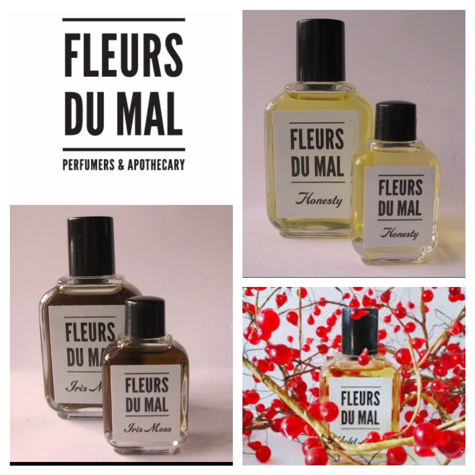 Fleurs Du Mal Perfume New Zealand Honesty The Wild Rose