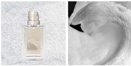 Plumages Parfums Blanc Ciel review