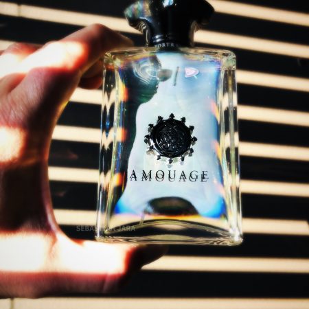 Amouage Portrayal Man review