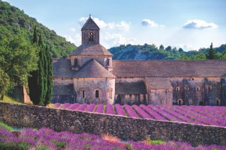  Shalini Paradis Provence review