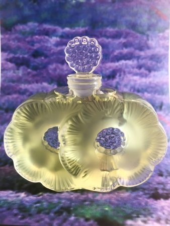 Shalini Paradise Provence 2019 new perfume