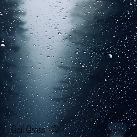 Neil Morris Fragrances A Darker Rain review